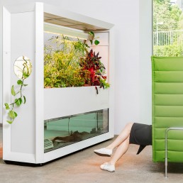Biophilie Design im Office